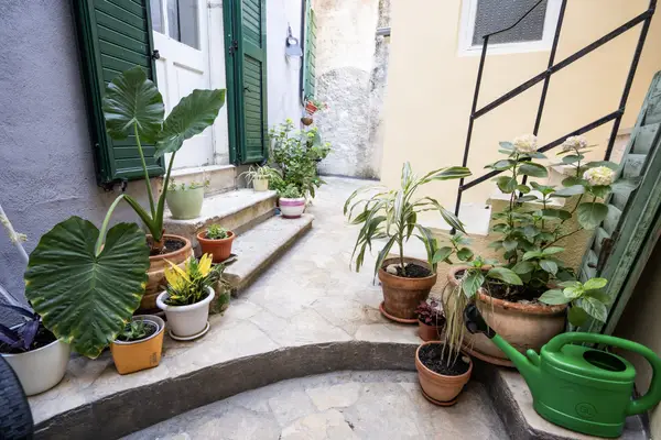 Apartment Veli — photo 12